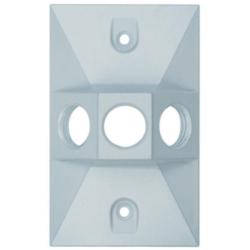 Pass and Seymour Weatherproof 1-Gang Outdoor Lamp Cover1/2in 3-Hole WPB13