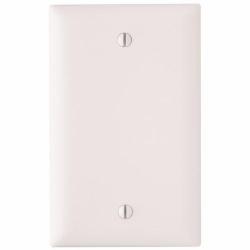 Pass and Seymour TP13W 1-Gang Blank Cover Plate White TP13-W