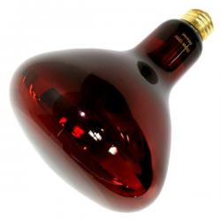 250R40/10 120v Red Heat Lamp 37771, S4884