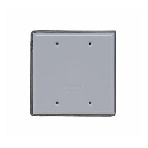 Pass and Seymour Weatherproof 2-Gang Blank Aluminum Cover Plate with Gasket and Screws WPB2
