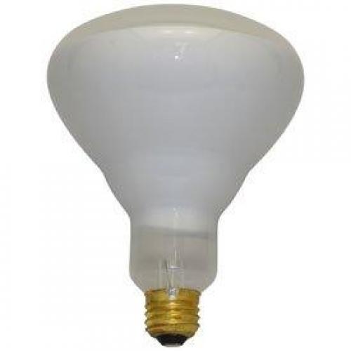 120ER40  130v Lamp   N/A 43231