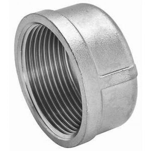 1/2in 316 SS Threaded Cap - Stainless Steel M616-08